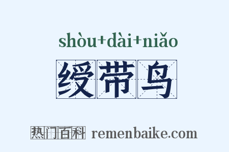 绶带鸟是什么意思的图片